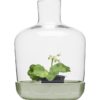 Växthus Green Med Glaskupa